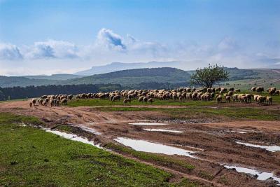 Прикрепленное изображение: IMG_0249.jpg